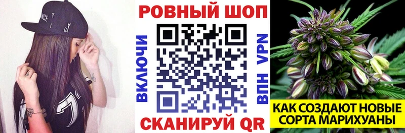 Альфа ПВП Ельня