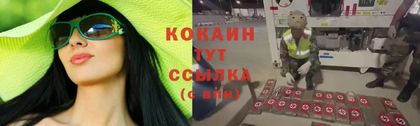 a pvp Аркадак