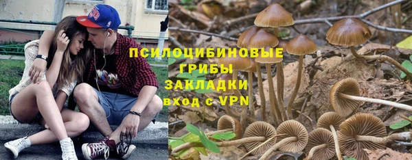 a pvp Аркадак