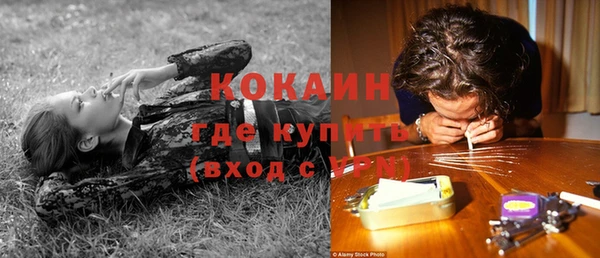 мяу мяу мука Баксан